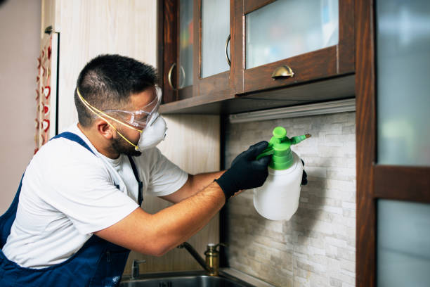 Best Mosquito Control Services  in Loomis, CA
