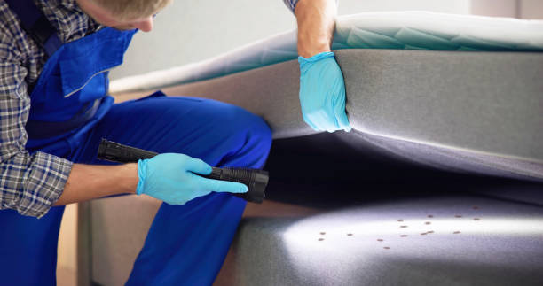Best Termite Control Services  in Loomis, CA